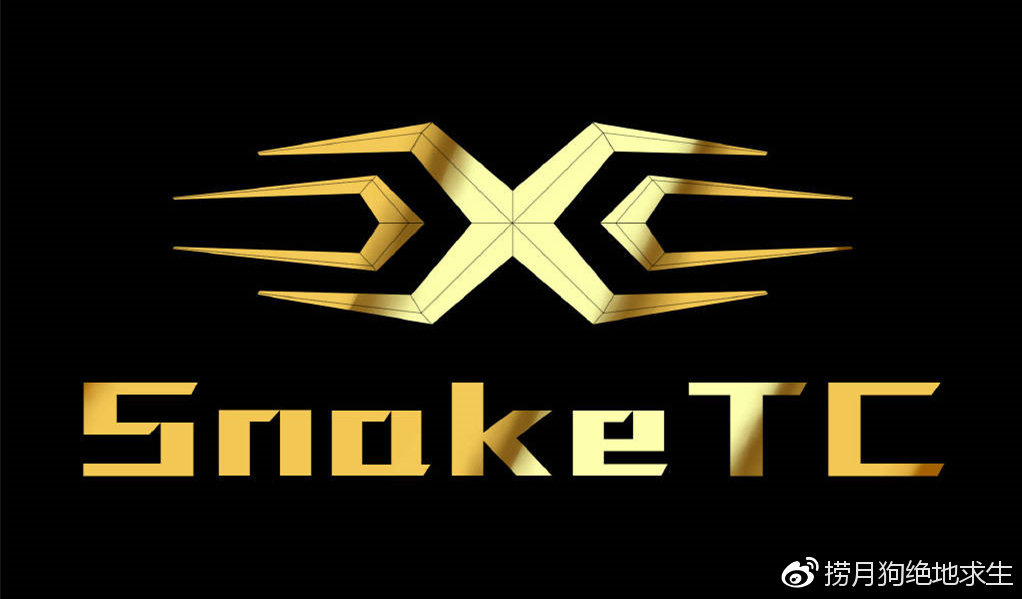 KAIYUN-关于Karsa关键节点战术调整，TL带队取胜！的信息