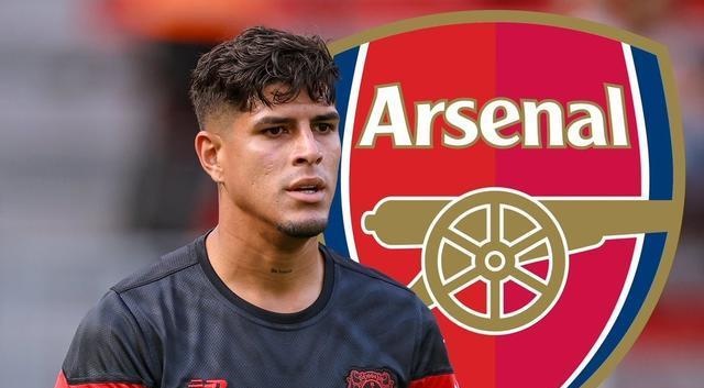 开云-包含西亚卡姆新星精彩发挥表现惊艳，阿森纳未来可期！的词条